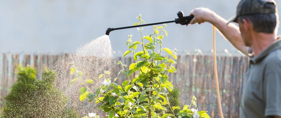 Solid Green Lawn & Landscape spraying liquid fertilizer at home in Bethlehem, %state%%.