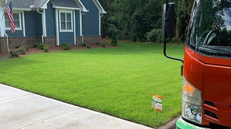 Healthy lawn