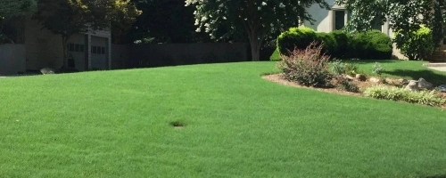 Alpharetta, GA lawn fertilization