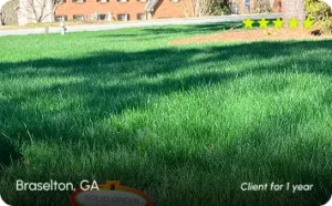 Braselton, GA lawn care services