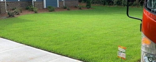 Braselton, GA lawn care services
