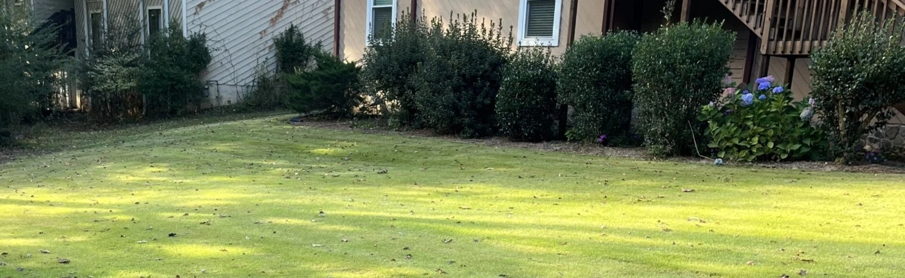 Dunwoody, GA lawn care services