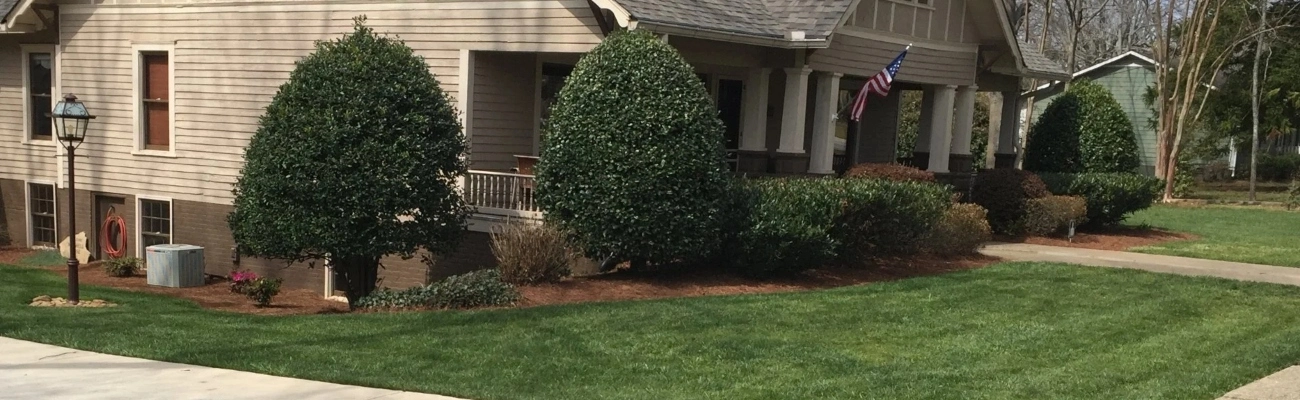 Jefferson, GA lawn care services