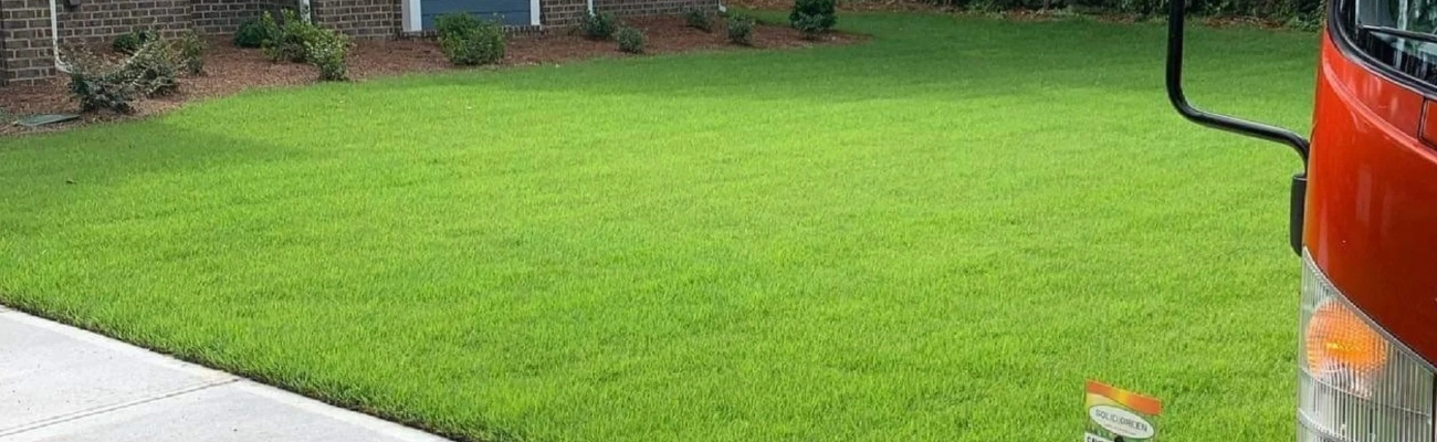 Lawn Fertilization Bethlehem, GA