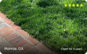 Monroe, GA lawn care services