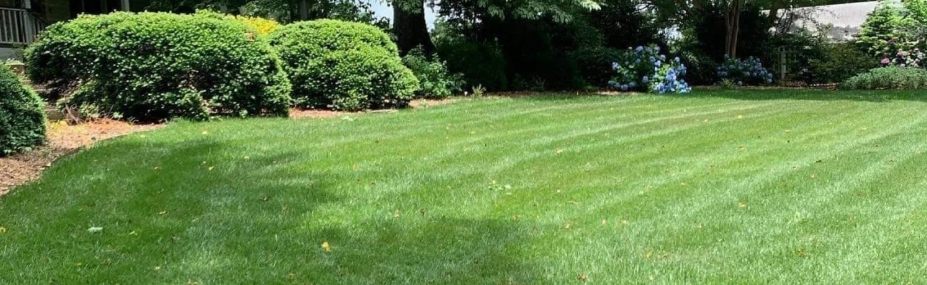 Lawn fertilization in Monroe, GA