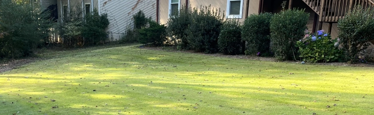 Sandy Springs, GA lawn care services