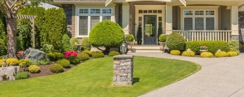 Brookhaven, GA tree & shrub care services