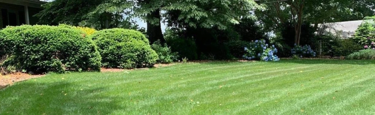 Statham, GA lawn fertilization