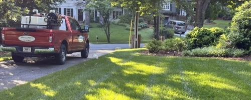 Lawn Care in Jefferson, GA