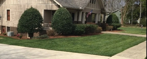 Snellville, GA lawn fertilization