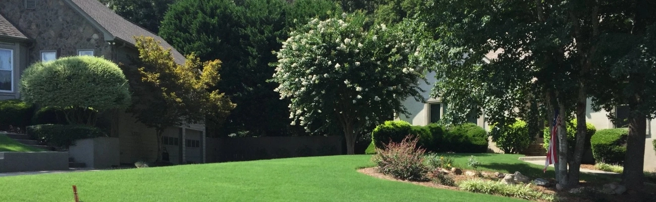 Snellville, GA tree and shrub care