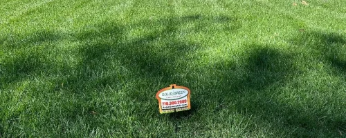 dark-green-grass-with-yard-sign