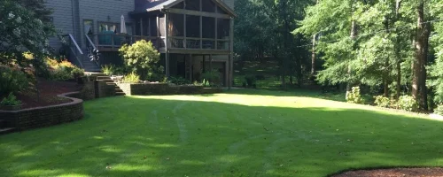 dense-green-grass-on-residential-property