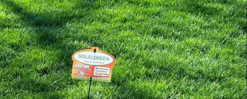 fertilized-dense-grass