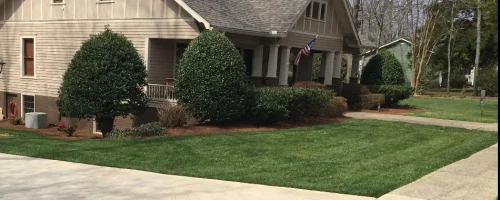 green-grass-on-a-residential-property