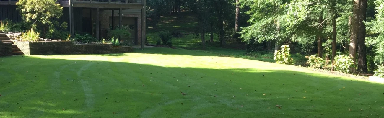 lawn aeration on a healthy lawn