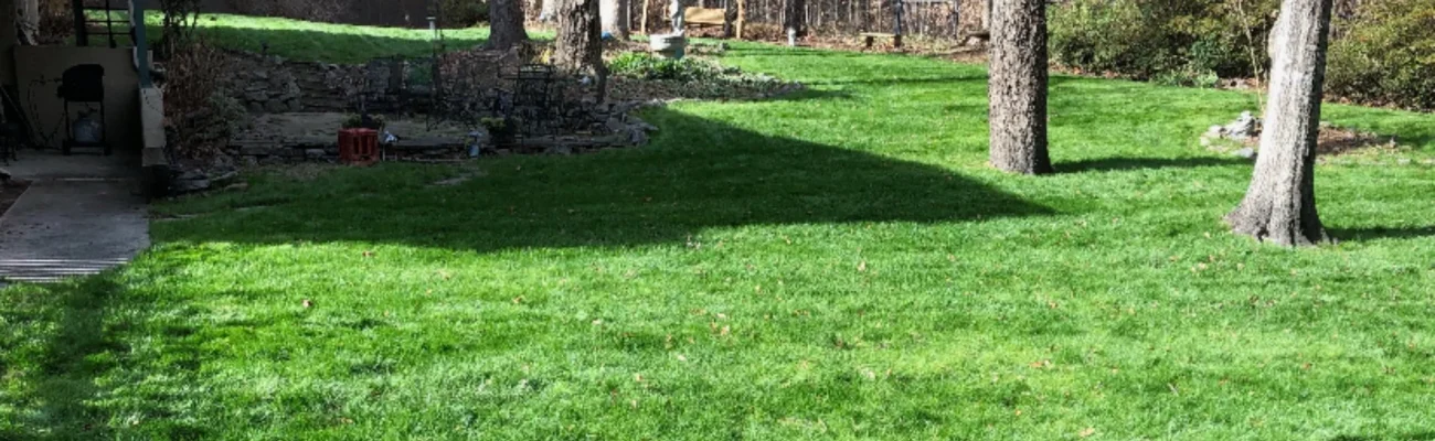 healthy-green-grass-with-trees