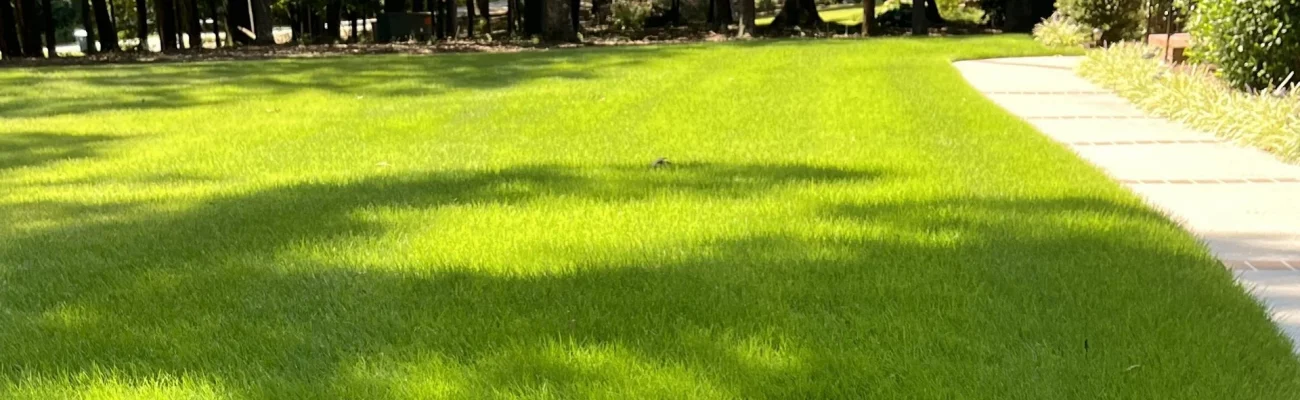 healthy-green-grass-with-walkway-and-some-trees