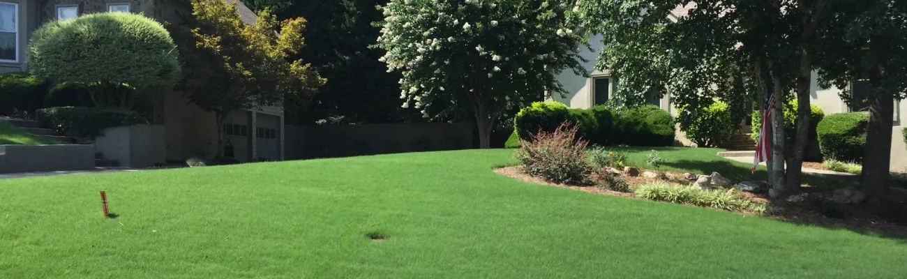 healthy-green-lawn-with-trees-and-plants