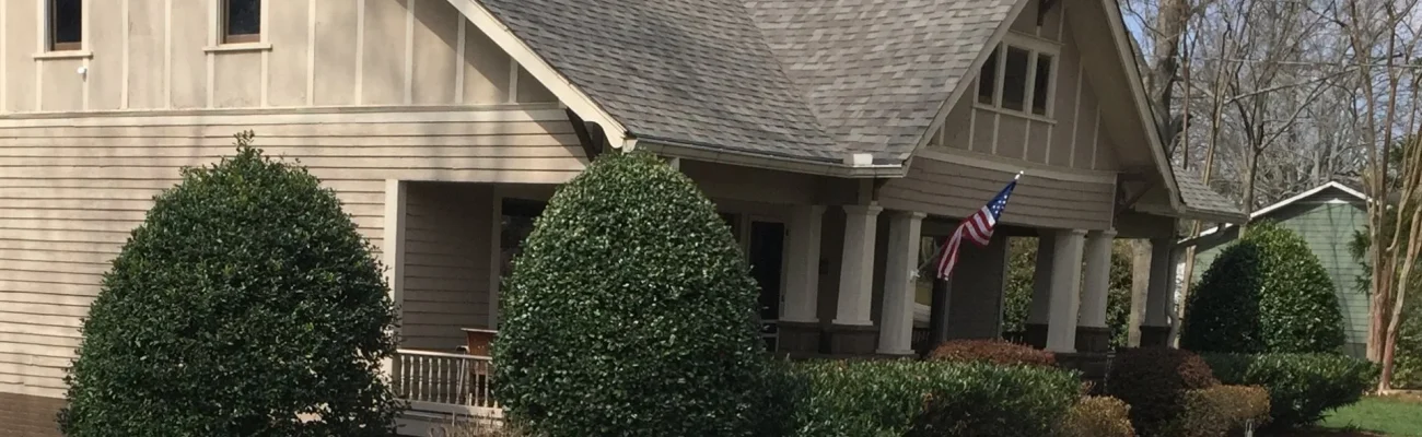 healthy-shrubs-around-a-home