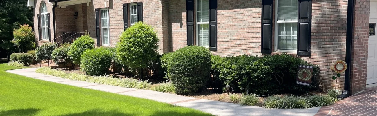 house-green-lawn-lush-shrubs-walkway