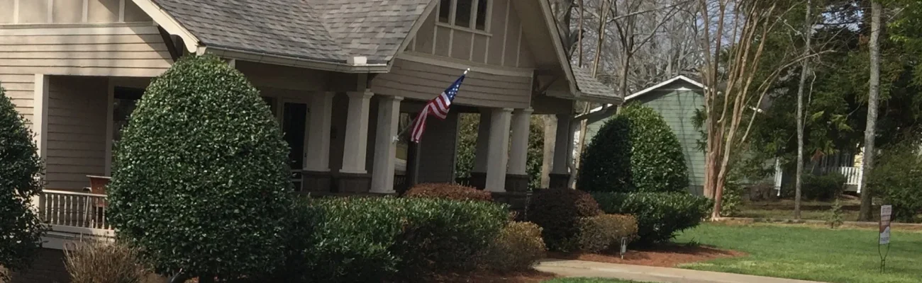 house-thick-shrubs-healthy-grass