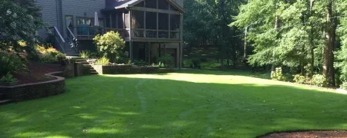 Lawn Care in Good Hope