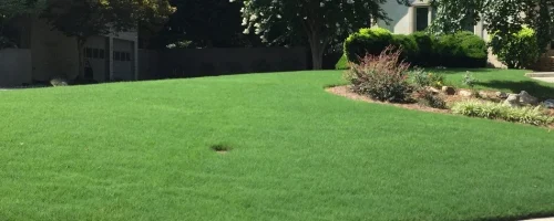 lush-grass-with-landscape-bed