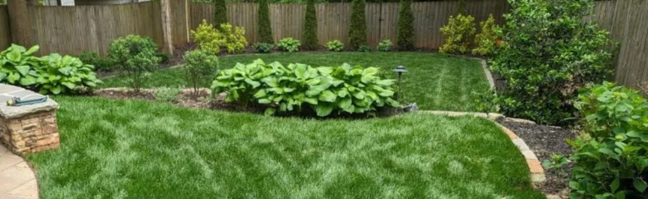 lush-green-grass-with-shrubs-small-plants