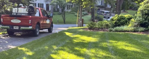 red-truck-near-a-green-lawn