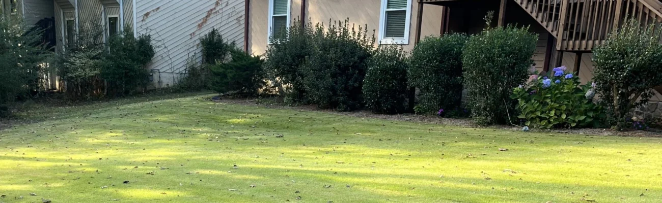 residential-property-healthy-green-grass