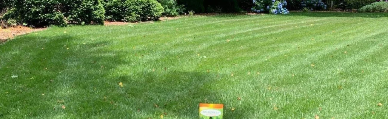 well-manicured-lawn-and-landscape