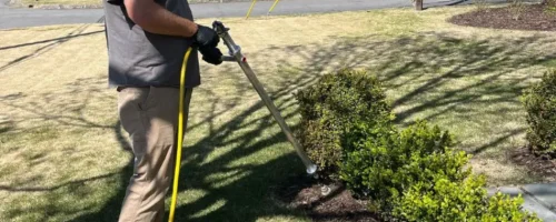 worker-treating-shrubs